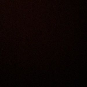 Meet your Posher, Abbey